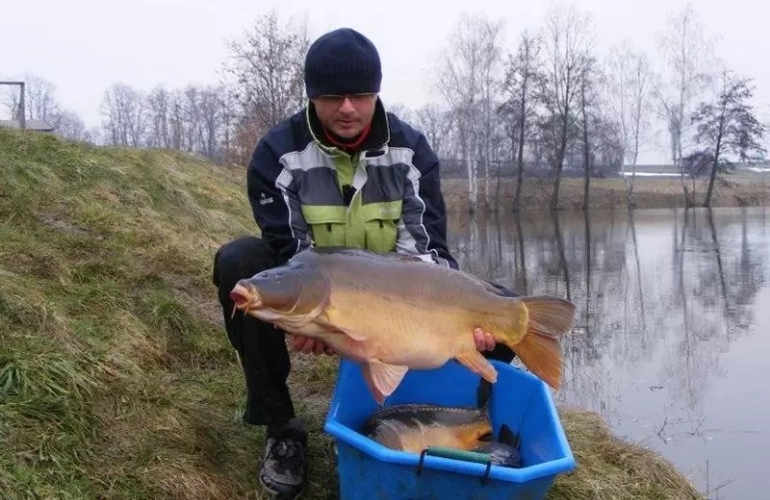 łowisko specjalne Karpik